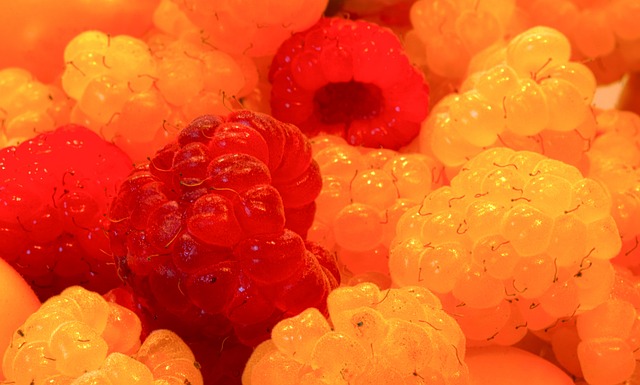 世界篮球五大最强国家分析