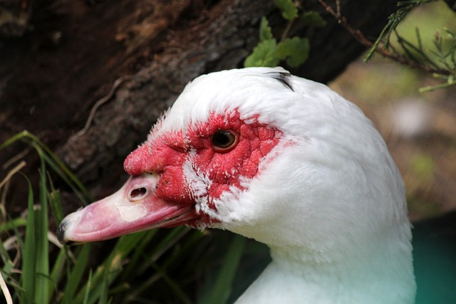 穆帅：葡萄牙体育有一人随便犯规都没事，我们仍在争冠行列